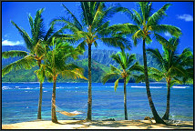 Hanalei Bay, Kauai